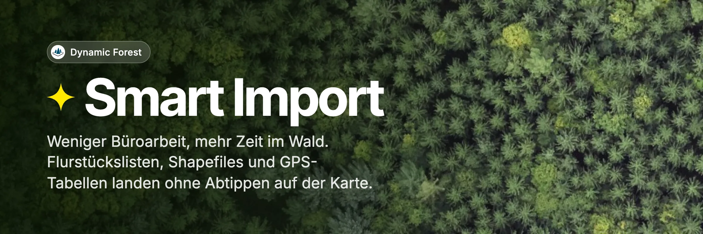 Luftbild eines Waldes mit Smart Import in Dynamic Forest und dem Satz: Weniger Büroarbeit, mehr Zeit im Wald. Flurstückslisten, Shapefiles und GPS-Tabellen landen ohne Abtippen auf der Karte.